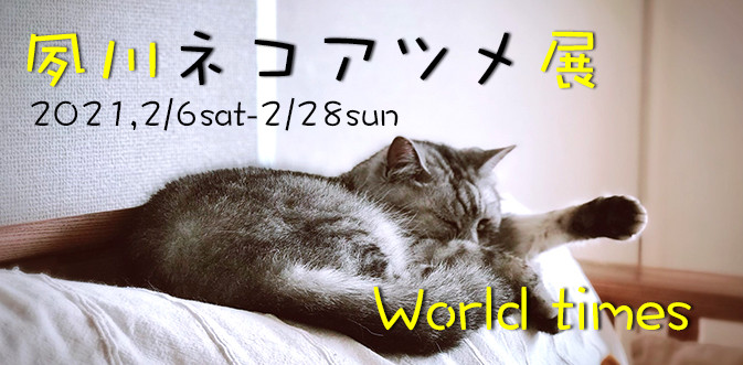 猫ばな 猫ばな