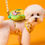 Thumbnail: Sweetcorn Dog Harness and Leash Bundle - RuaRua's Cheerful Set