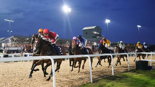 Race week 6 Preview - Main contenders ready for final night showdown at Southwell