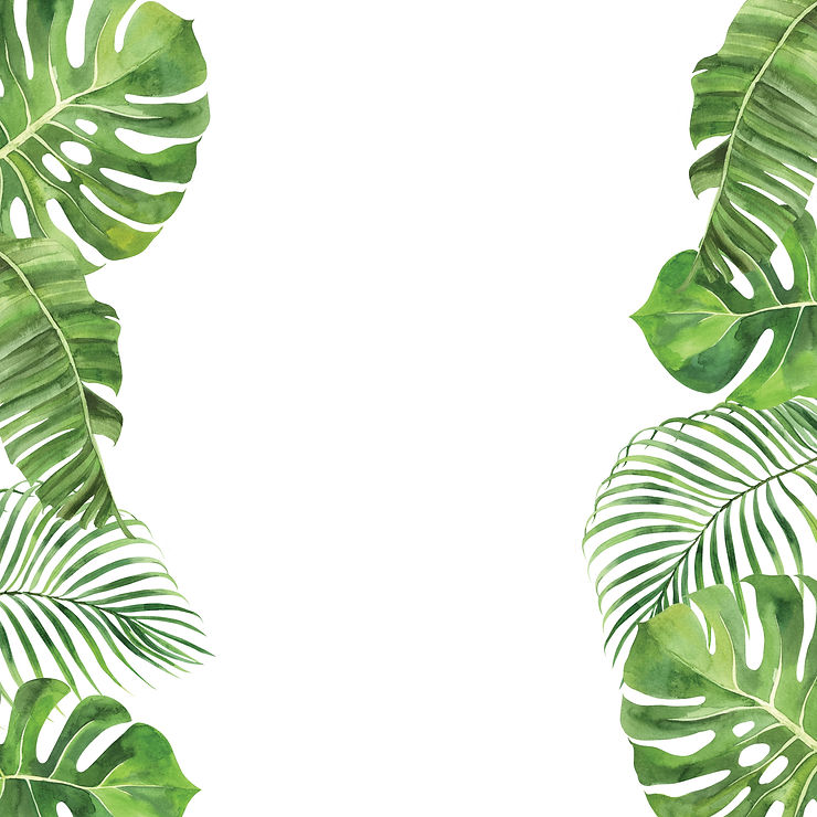 Leaves 1920x1920.jpg