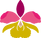 Orchideen_einzeln.png
