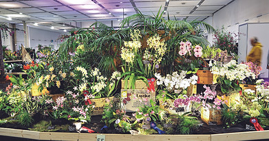 55_Lucke Orchideen_GM__CMYK_IMG_1349.jpg