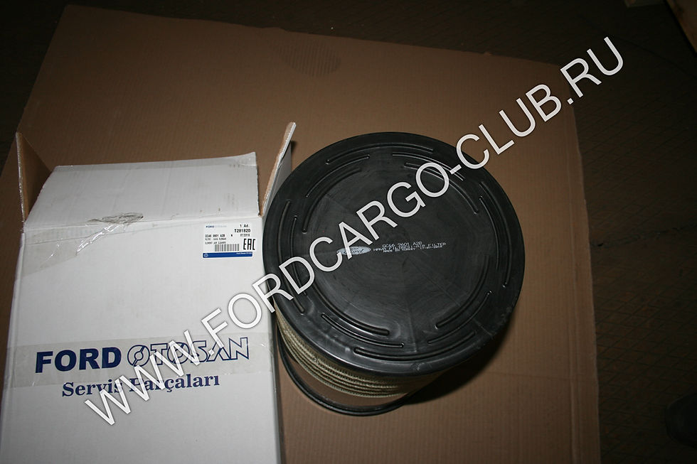 GC46-9601-A2B-N T281820 ФИЛЬТР ВОЗДУШНЫЙ ДЛЯ ФОРД КАРГО