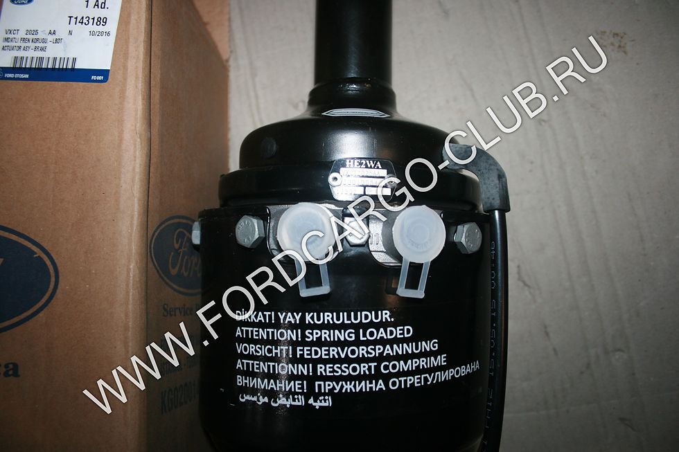 VXCT-2025-AA-N T143189 ПНЕВМОАККУМУЛЯТОР ДЛЯ ФОРД КАРГО