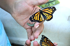 DSC_0952_edited.jpg