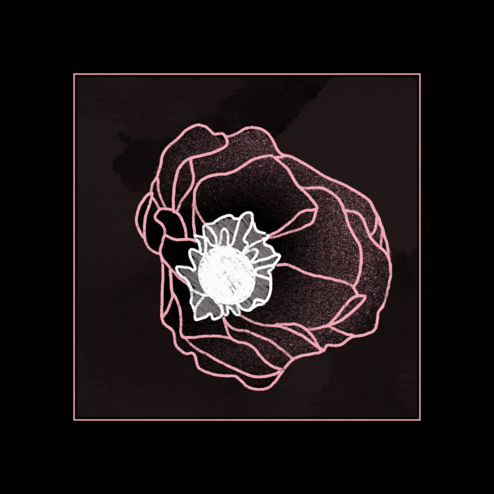 10_1.gif