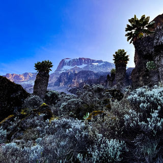 Best_Photography_Little_Rock