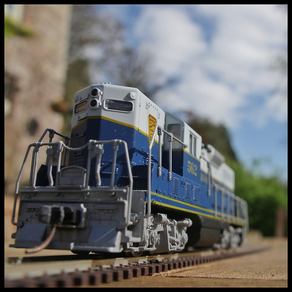 Having fun with the camera ..but is does make them look good..