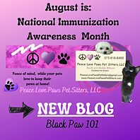 Aug 1st BLOG .png