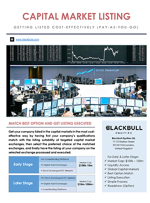 BBE_Summary_Capital Market Listing_v2023_0901_Page_1.png