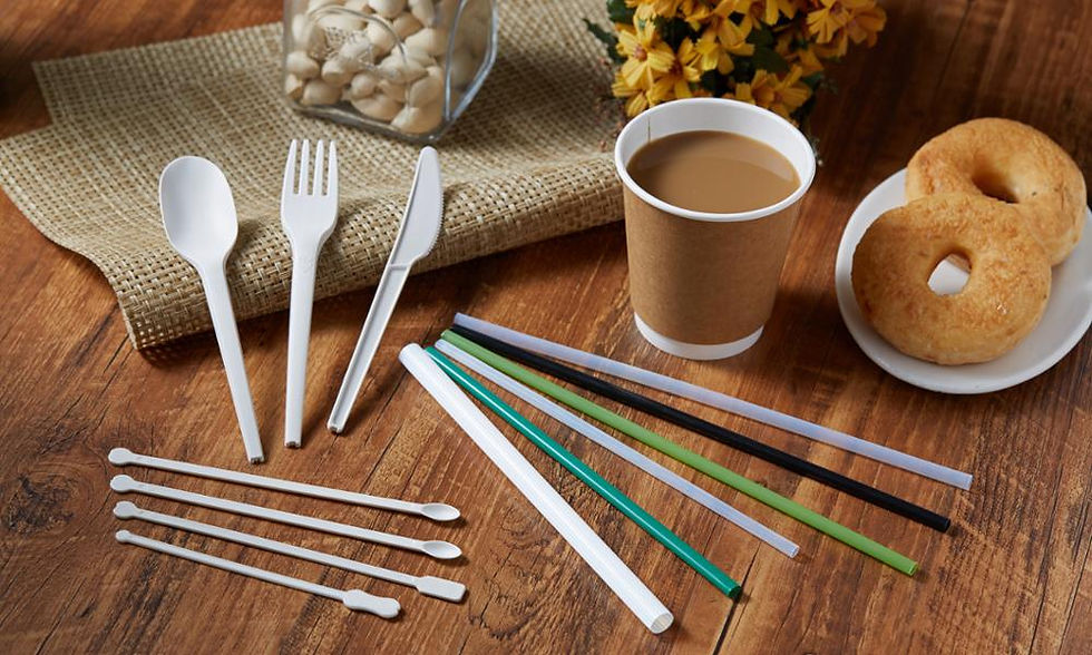 PLA disposable items