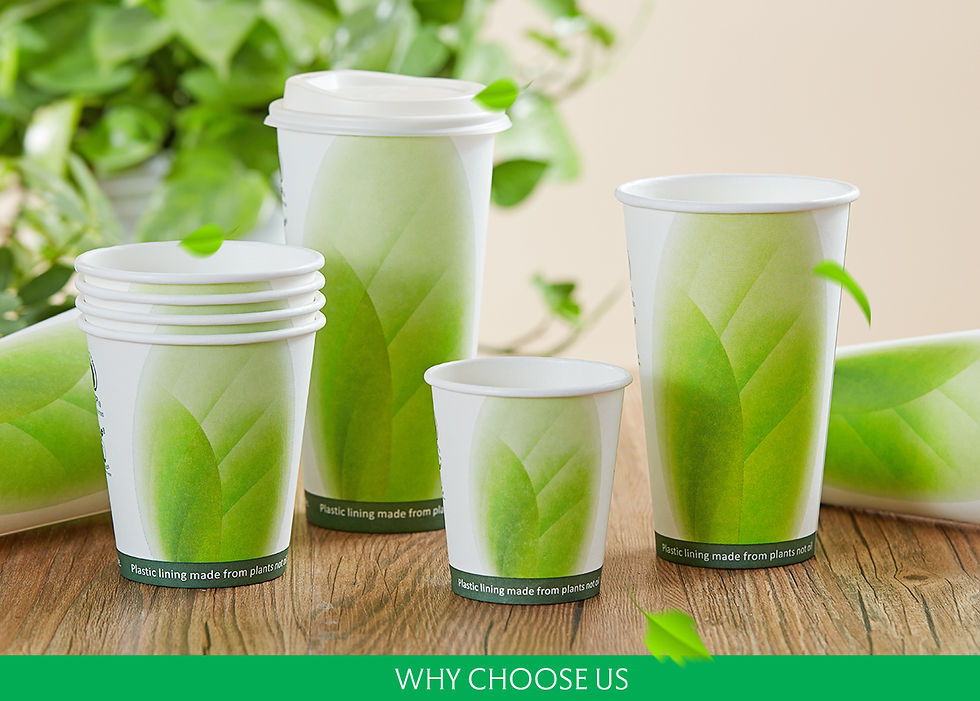 PLA hot cups 2