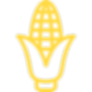 made from corn.png