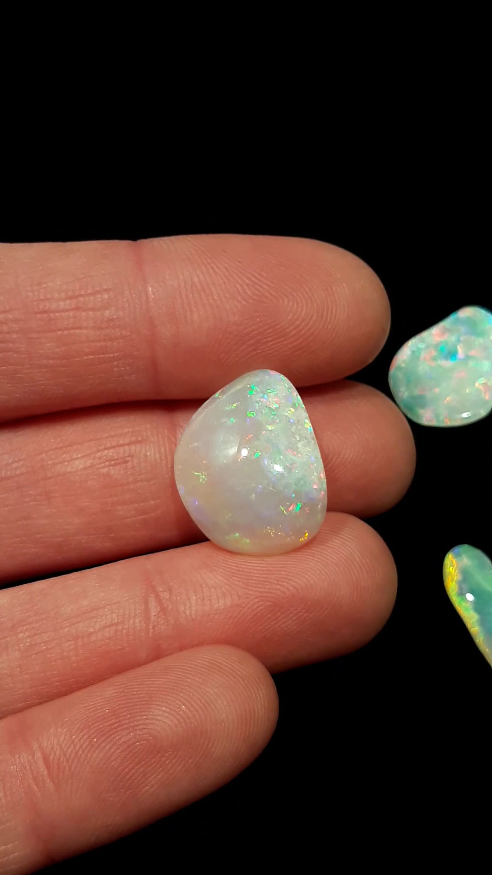 Miniatura: Set of 6 Solid Gem-Quality Fossil Opals (21.65 ct)