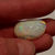 الصورة المصغرة: Opalised Fossil Bivalve