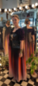 Star Trek Admiral Gown
