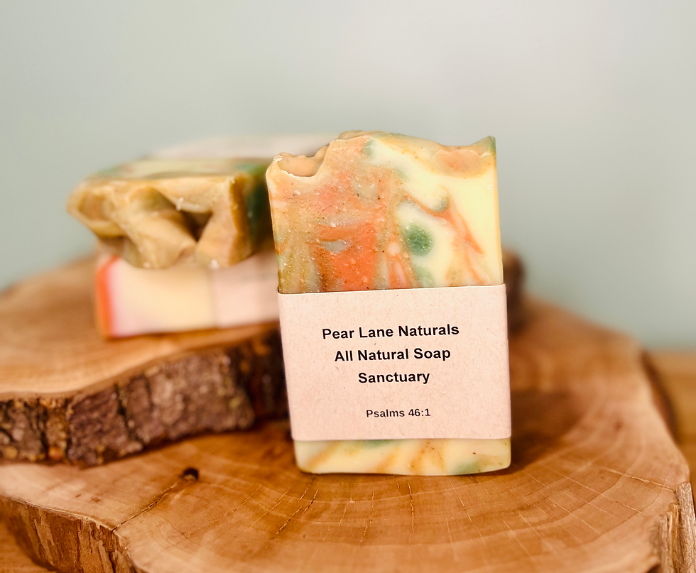 Thumbnail: Sanctuary