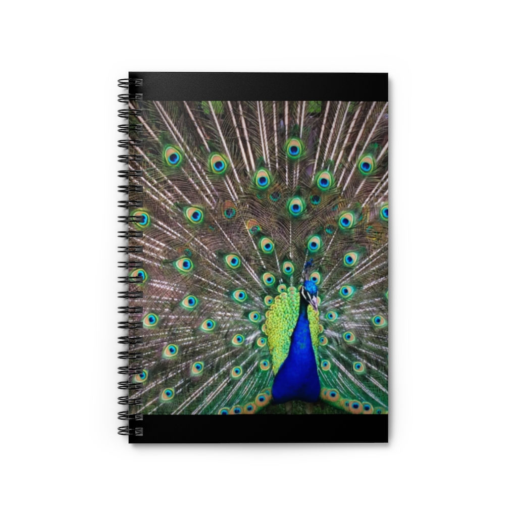 Peacock Notebook
