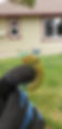 20220921_145756.jpg
