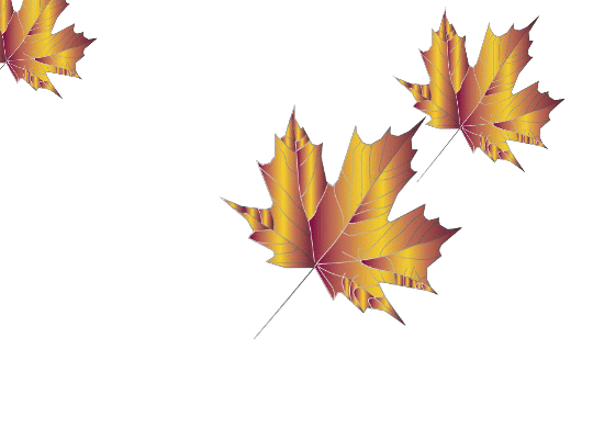 Leaf Animation | digitalmedia