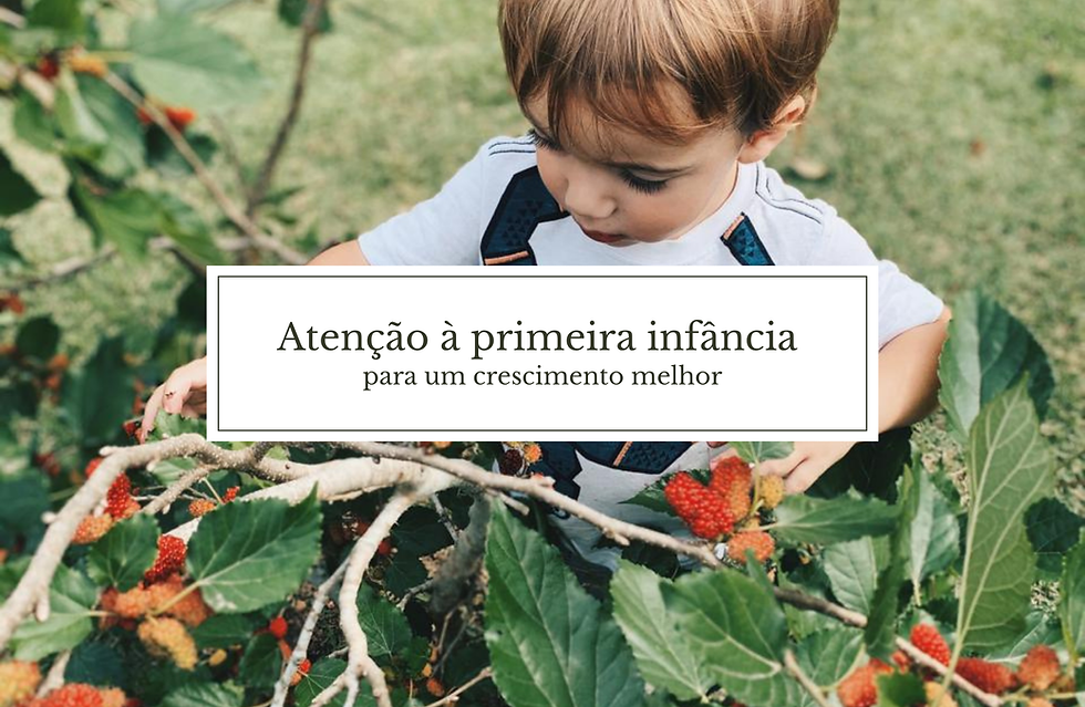 banner principal.png