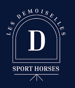 Logo Sport Horses_fond bleu png_edited.j