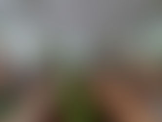 Що ми ще не знали про бібліотеки…