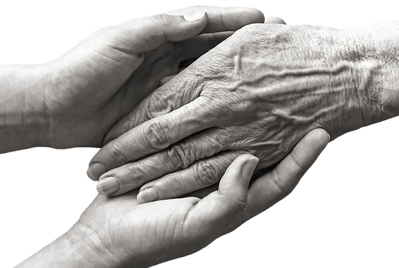 hand_02_fuer-web_edited_edited.png