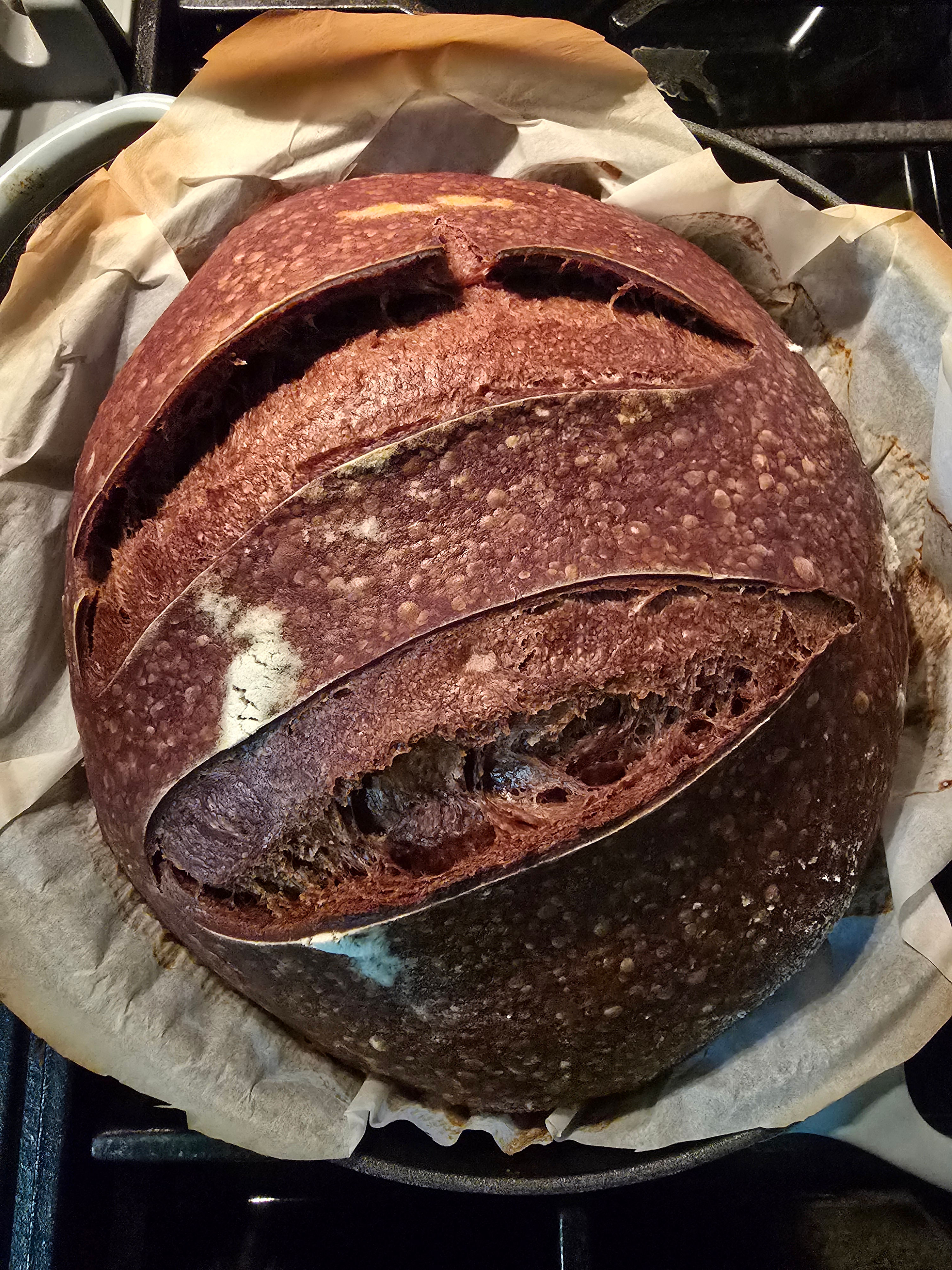 Organic Cacao Sourdough