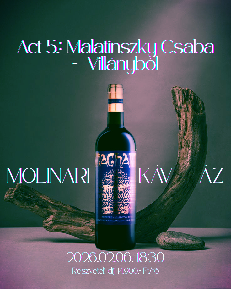 MALATINSZKY CSABA borkóstoló a Molinariban!