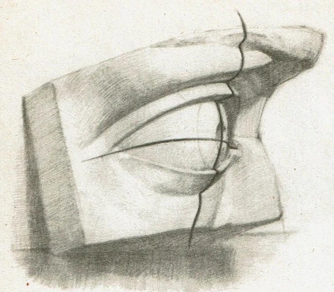 Student's detailed drawing of a sculptural element - David's eye by Michelangelo.