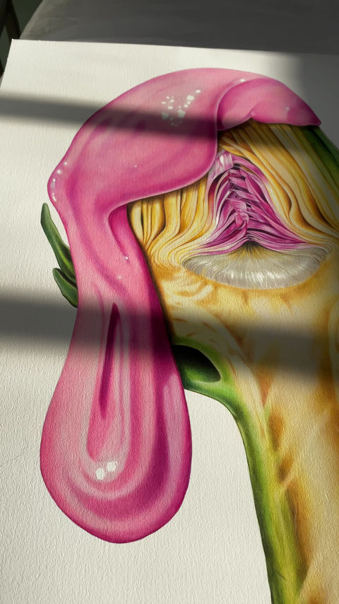Thumbnail: Artichoke Pink Editions