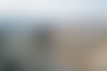 Xysto w/ Vali and Braydon