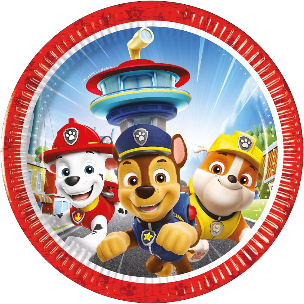 Pappfat med paw patrol motiv