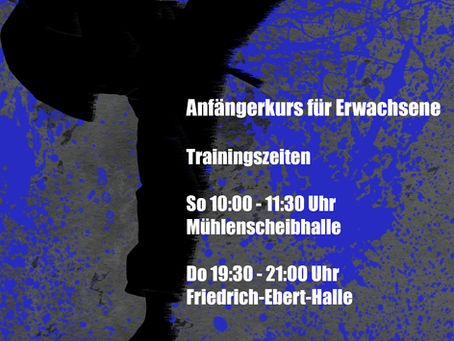 Neu: Karate-Anfängerkurs für Erwachsene!