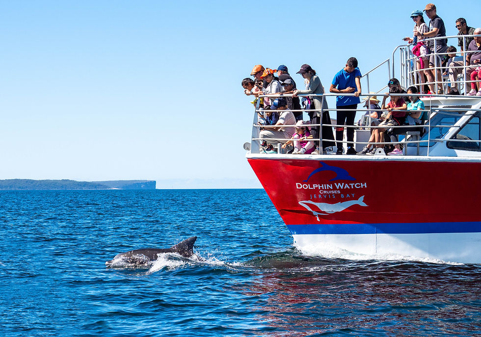 Scenic Cruise