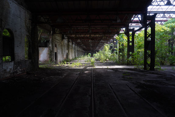 DSC06181.jpeg