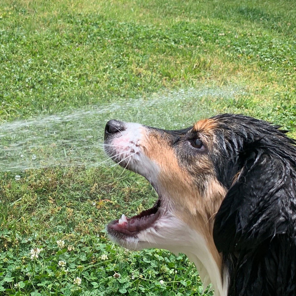 DAB2B7EE-2E2D-49BC-B408-A2095DA307F4_edited