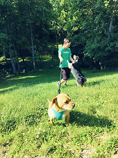 IMG20240522171350_01 (1).jpg