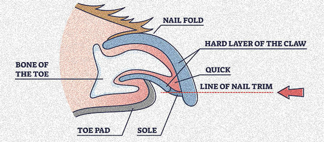 istockphoto-1333328754-612x612_edited_ed