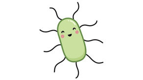 Bacteriologia