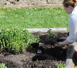 Spring on the Homestead 2024 (52).JPG