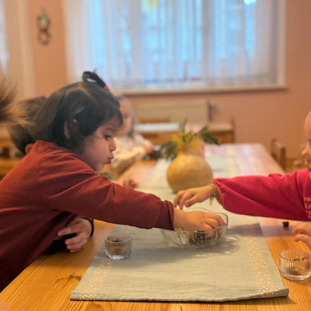 Çocuk Çocukla Büyür: Waldorf Pedagojisi Işığında Sosyal Gelişim ve Benlik İnşası