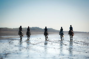 group of horse and riders walking along a beach 