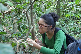 Talitha Ferreira dos Santos, PhD candidate (UFAM)