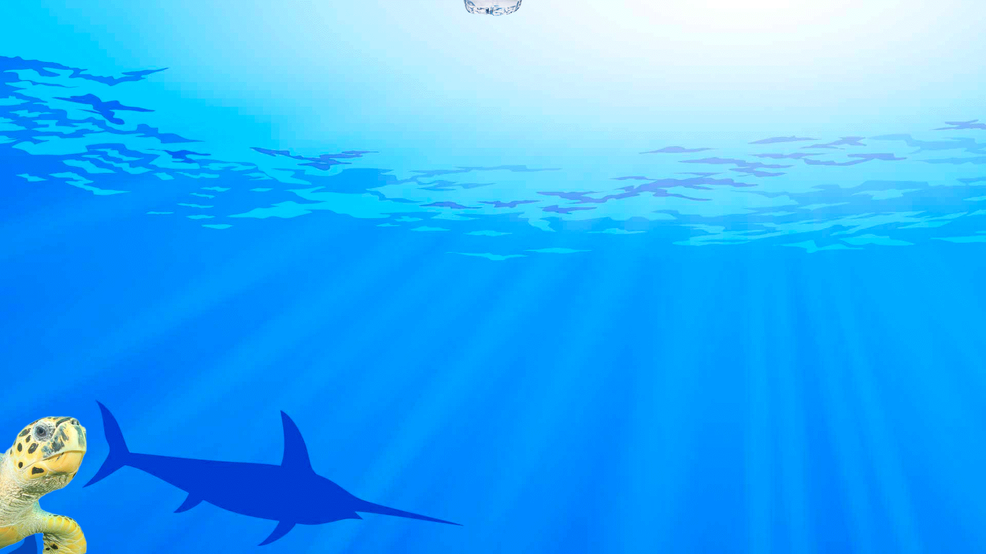 turtle-gif.gif