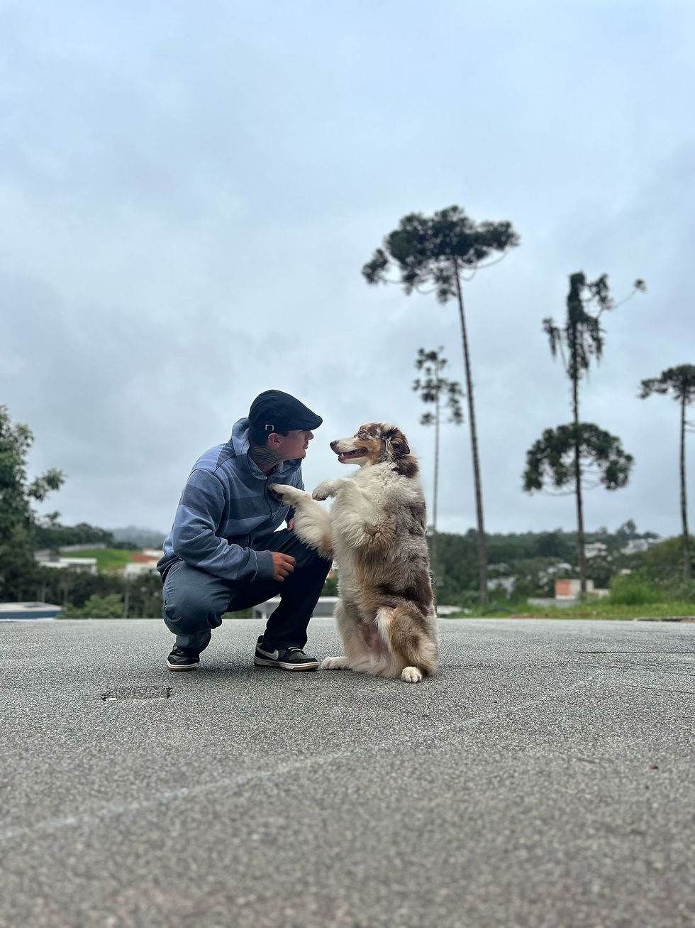 Adestrador Tomas Alejandro