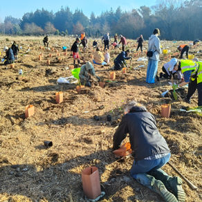 Silverstream Planting Day 2026!