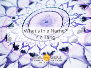 Mandala with purple and black patterns, text "What's In a Name? Yin Tang" overlaid. Logo for Shaolin Wahnam Twin Cities below.