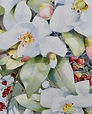 DSC09204.jpeg